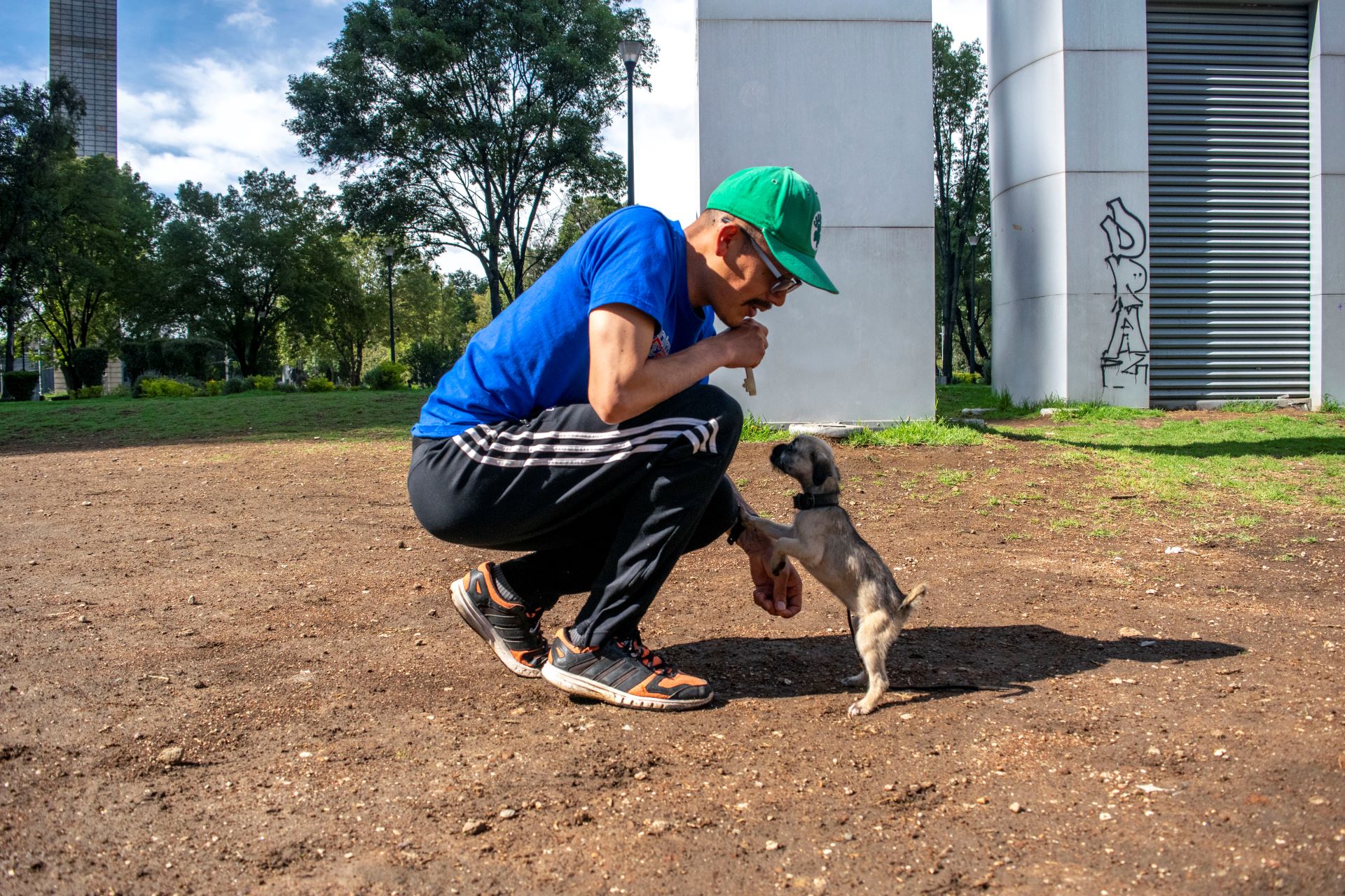 entrenador con un perro pequeño