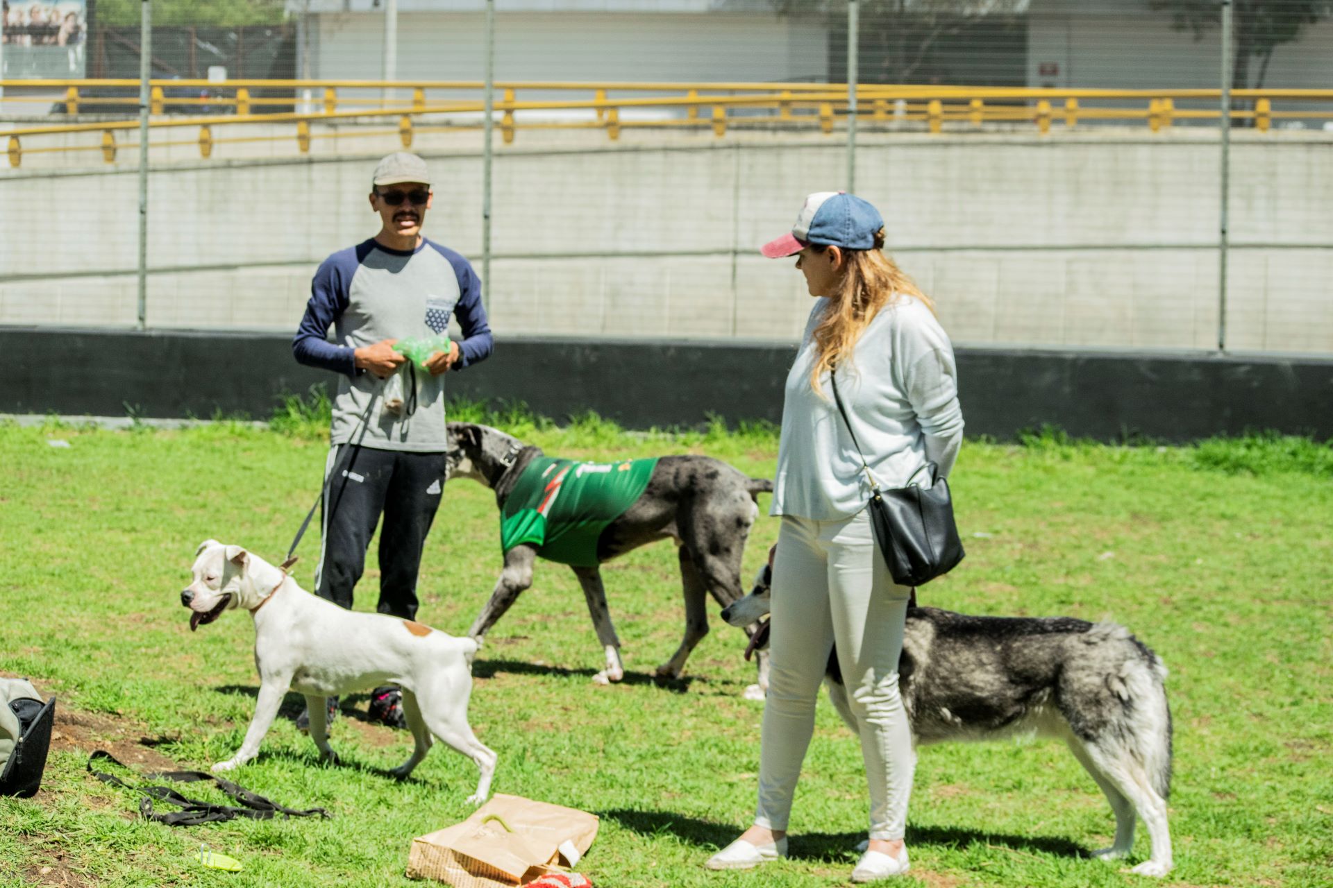 entrenador y dueña de perro con perros