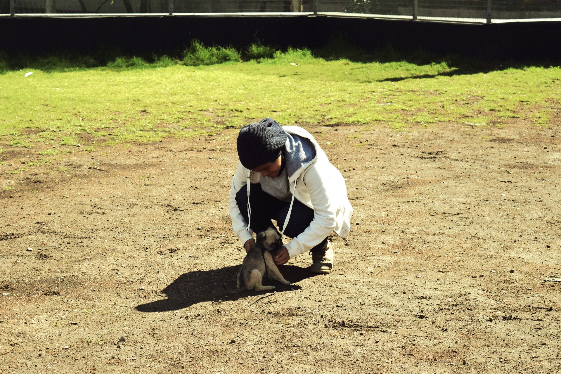 entrenador y dueña de perro con perros