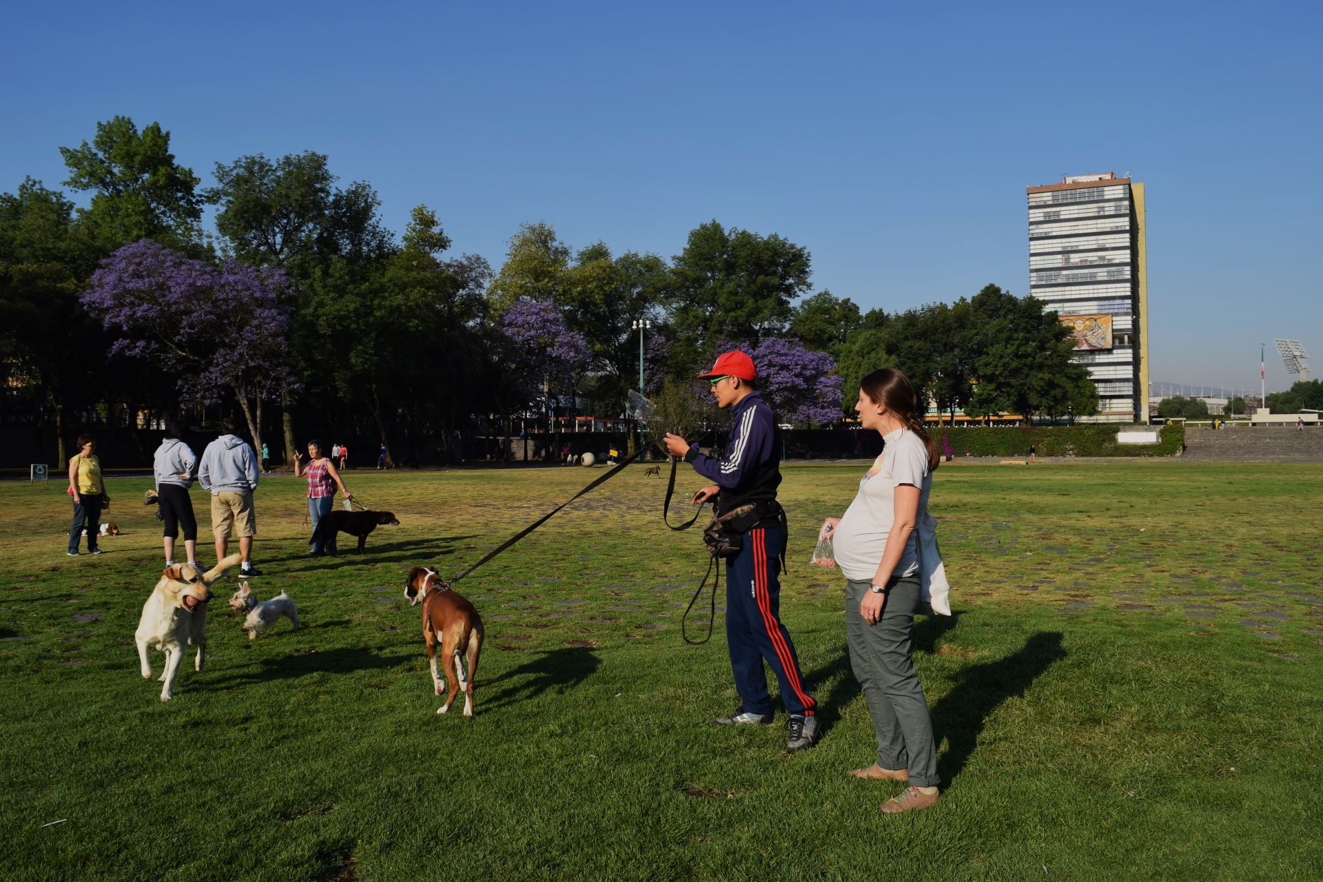 entrenandor y perro con dueña