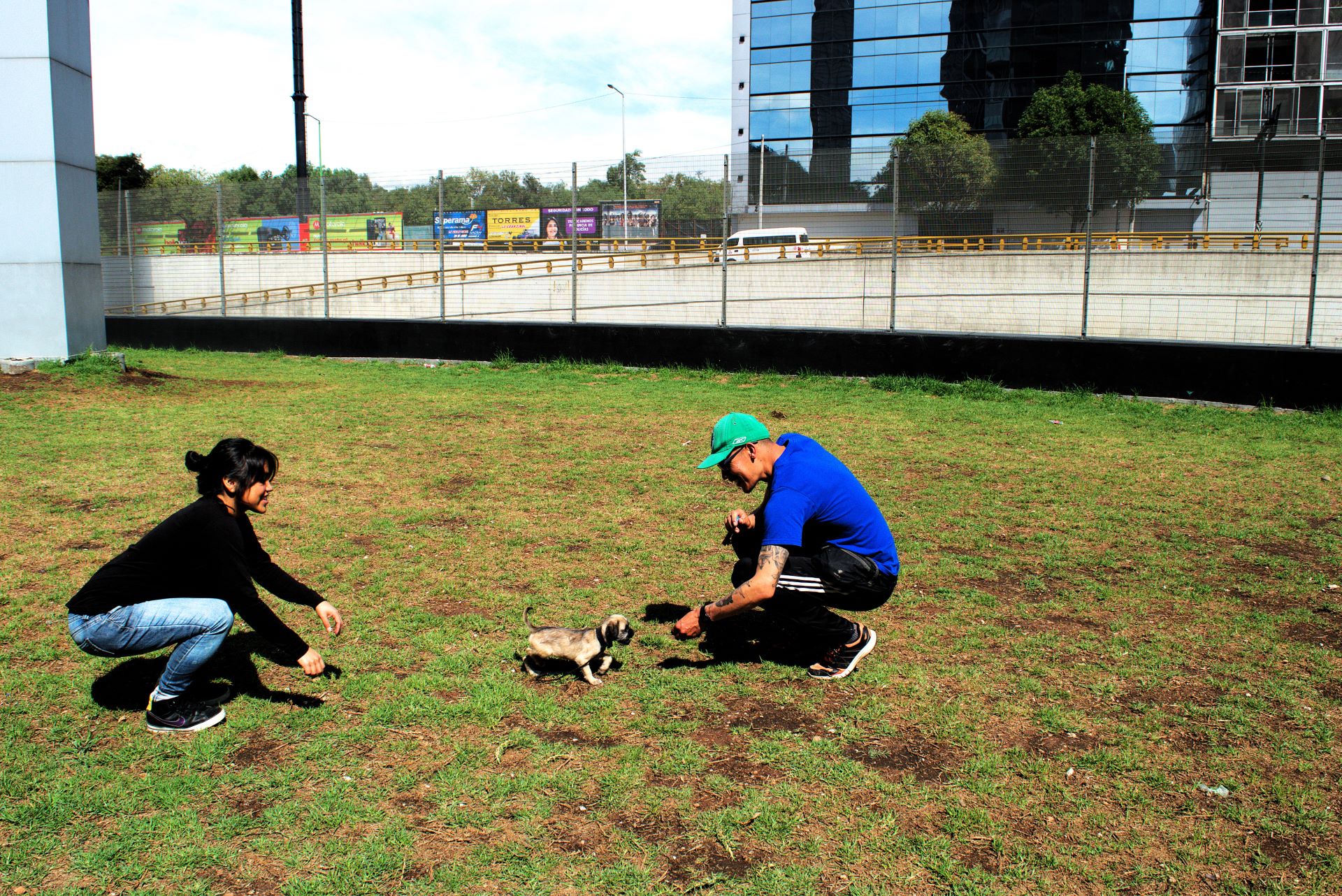 entrenandor y perro con dueña