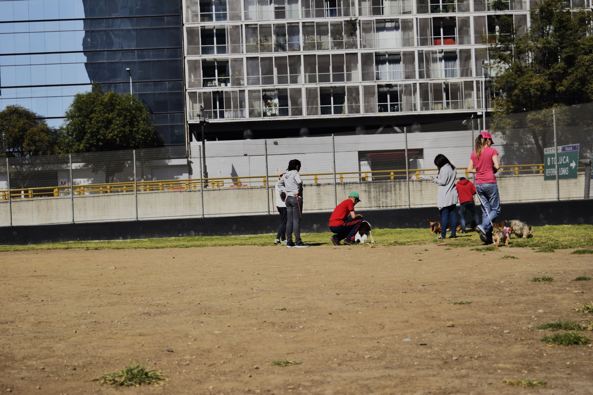 entrenador y dueña de perro con perros